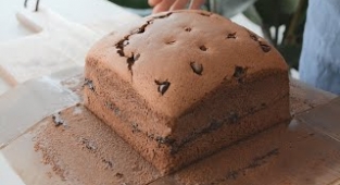 Fluffy Chocolate Castella Sponge Cake - Bánh Bông Lan Castella Vị Socola